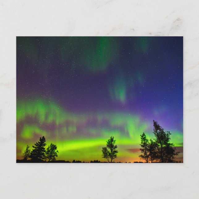 Norra ljuset | Manitoba Kanada Vykort (Framsida)