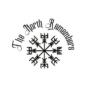 Norra minns Viking Vegvisir Kompass T Shirt