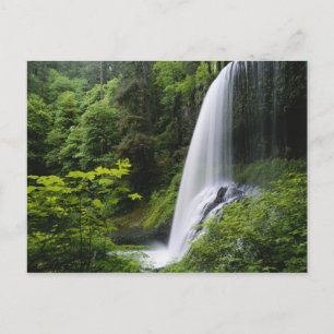 Norra Mitten fall, Silver Falls State Park. Vykort