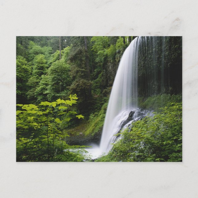 Norra Mitten fall, Silver Falls State Park. Vykort (Framsida)