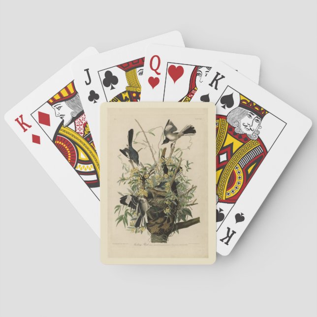 Norra Mocking Bird, Audubon's Birds of America Casinokort (Baksidan)