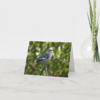Norra Mockingbird med Flowers Safety Harbor FL Tack Kort