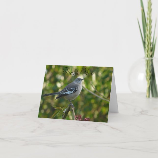 Norra Mockingbird med Flowers Safety Harbor FL Tack Kort (Framsida)