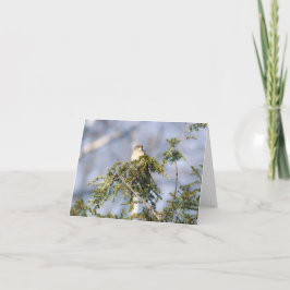 Norra Mockingbird Notecard Tack Kort
