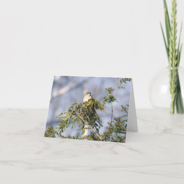 Norra Mockingbird Notecard Tack Kort (Framsida)