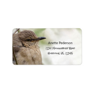 Norra Mockingbird Porträtt Bird Photo Adress Adressetikett