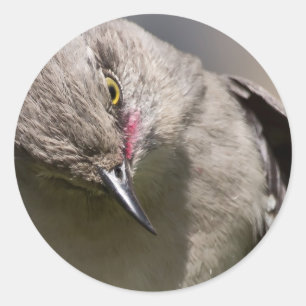 Norra Mockingbird tar en Bow Apparel & Gifts Runt Klistermärke