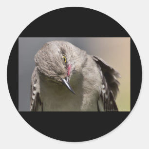 Norra Mockingbird tar en Bow Apparel & Gifts Runt Klistermärke