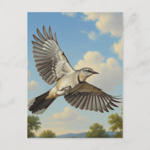 Norra Mockingbird under flygning Vykort