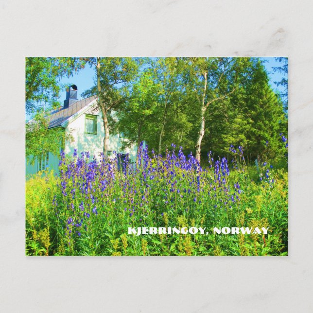 Norra Norgens vykort (Framsida)