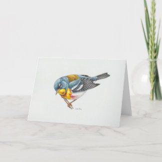 Norra parula Warbler Art Card Tack Kort