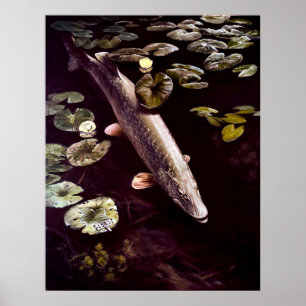 Norra pike poster