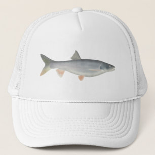 Norra Pikeminnow Keps