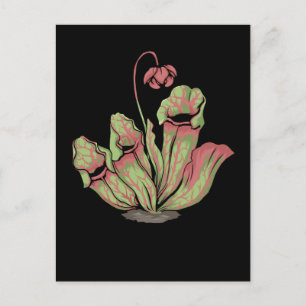 Norra Pitcher Carnivorous Plants Sarracenia Vykort