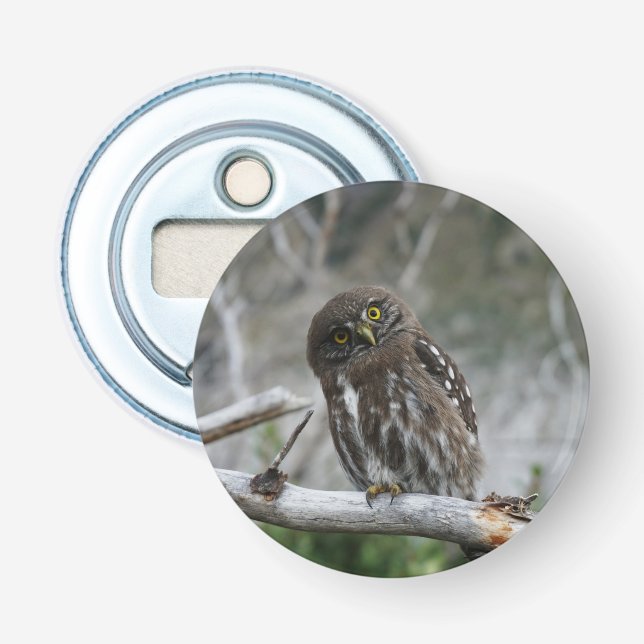 norra Pygmy Uggla Flasköppnare (Framsidan)