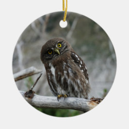 norra Pygmy Uggla Julgransprydnad Keramik