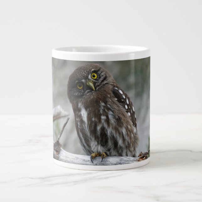 norra Pygmy Uggla Jumbo Mugg (Framsidan)