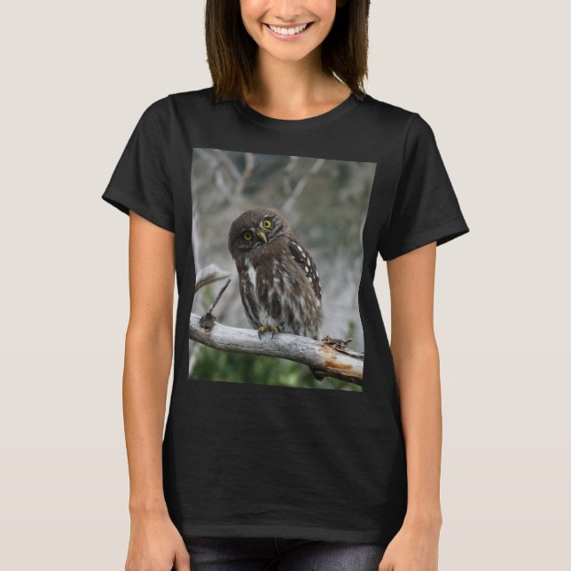 Norra Pygmy Uggla T-Shirt (Framsida)