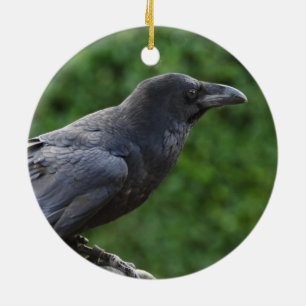 norra Raven Julgransprydnad Keramik