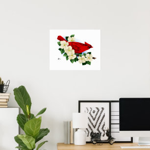 Norra röda kardinalerna poster