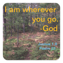 Norra skogen-banan i tidigt faller