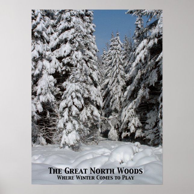 Norra Skogen, Underbaren, där vintern kommer att s Poster (Framsidan)