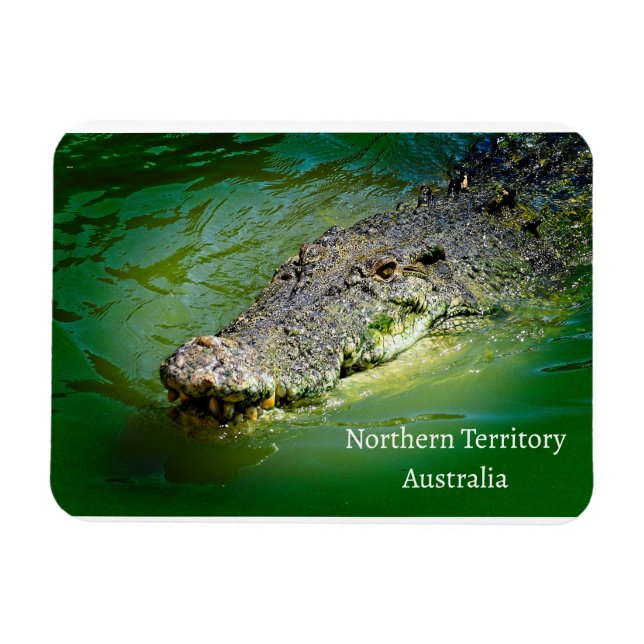 Norra territoriet Saltwater Crokodile Magnet (Horisontell)