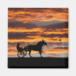 Norravin, Trotting Racehorse Magnet