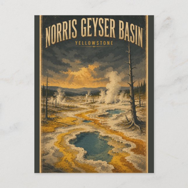 Norris Geyser Basin Yellowstone National Park  Vykort (Framsida)