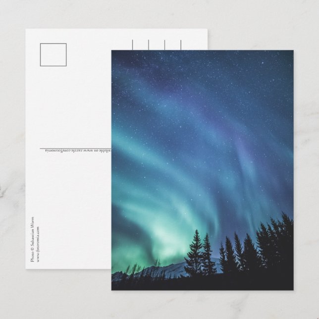 Norrljus skogen vykort (Fram/baksida)