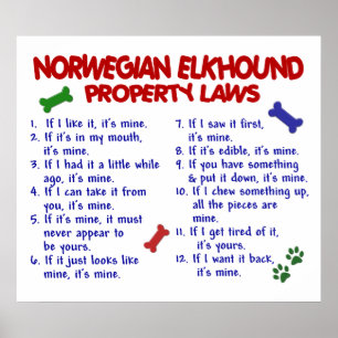 NORRMAN ELKHOUND PL2 POSTER