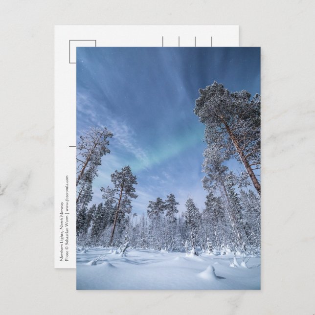 Norrsken Norge Vykort (Fram/baksida)