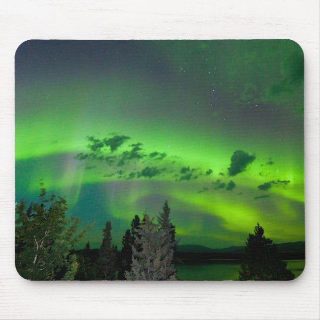 Norrsken över boreal skog musmatta (Framsidan)