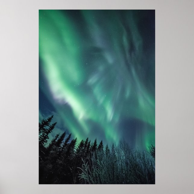 Norrsken Skandinavien Poster (Framsidan)