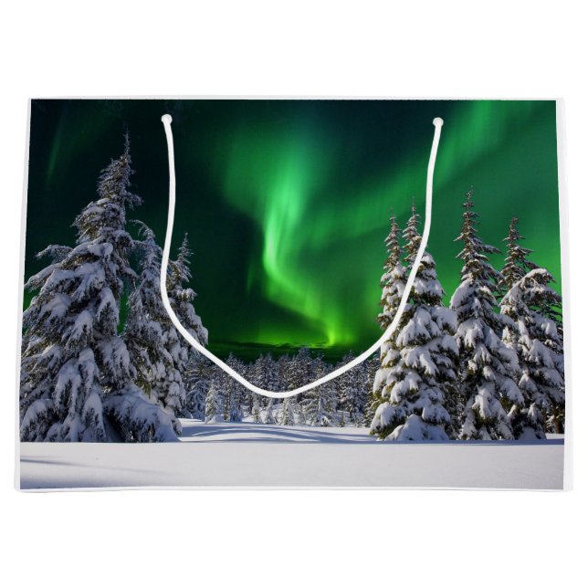 Norrsken under vintern (Framsidan)