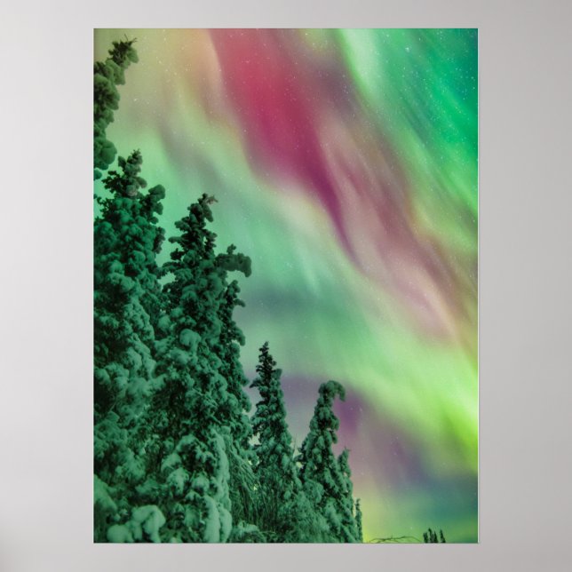 Norrsken | Vinter i Glennallen, Alaska Poster (Framsidan)