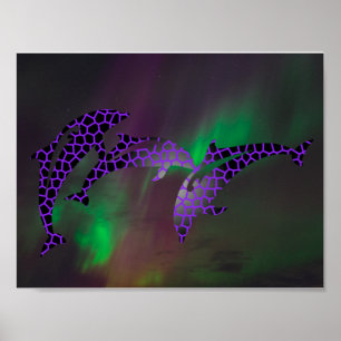 Norrskensdelfin Dolfiner Landskap Himlar Poster