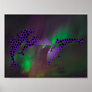 Norrskensdelfin Dolfiner Landskap Himlar Poster