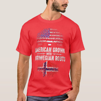 Norsk amerikansk t shirt