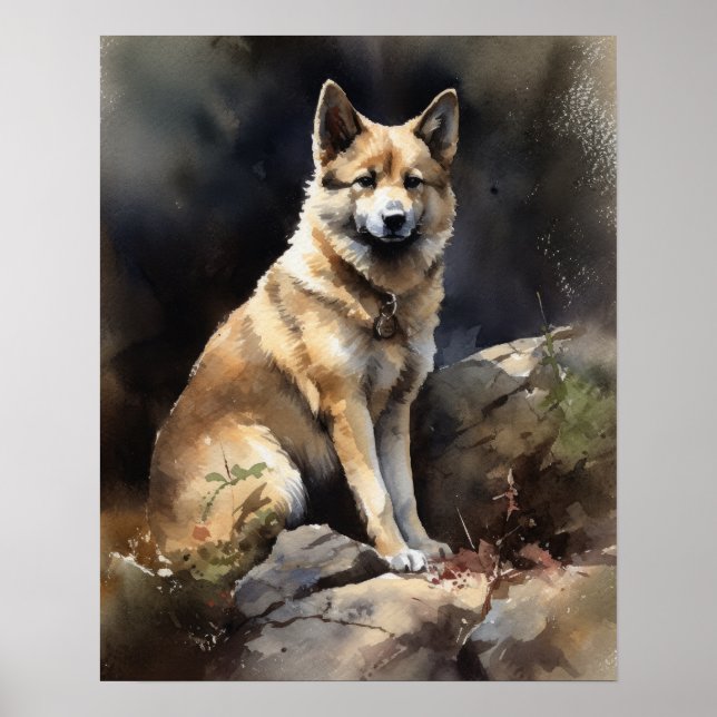 Norsk Buhund Hund Art Print Poster (Framsidan)
