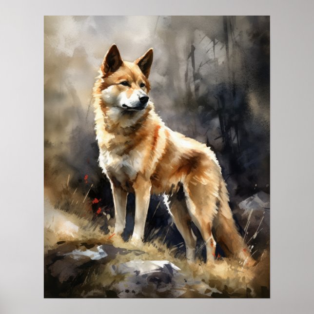Norsk Buhund Hund Art Print Poster (Framsidan)