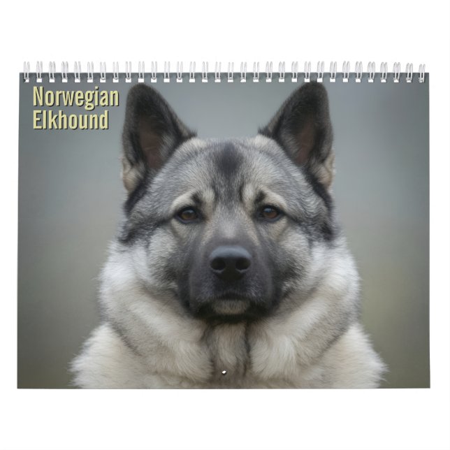 Norsk Elghund 2027 Väggkalender Kalender (Omslag)