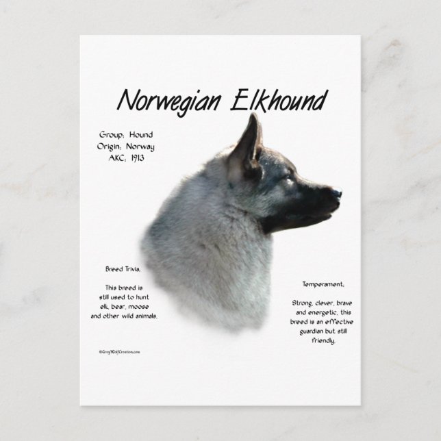 Norsk Elghund Historia Design Vykort (Framsida)