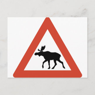 Norsk Elk Vykort