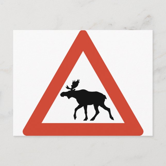 Norsk Elk Vykort (Framsida)