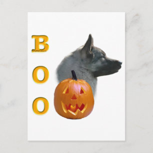 Norsk Elkhound Boo Vykort
