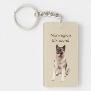 Norsk Elkhound hund aveln