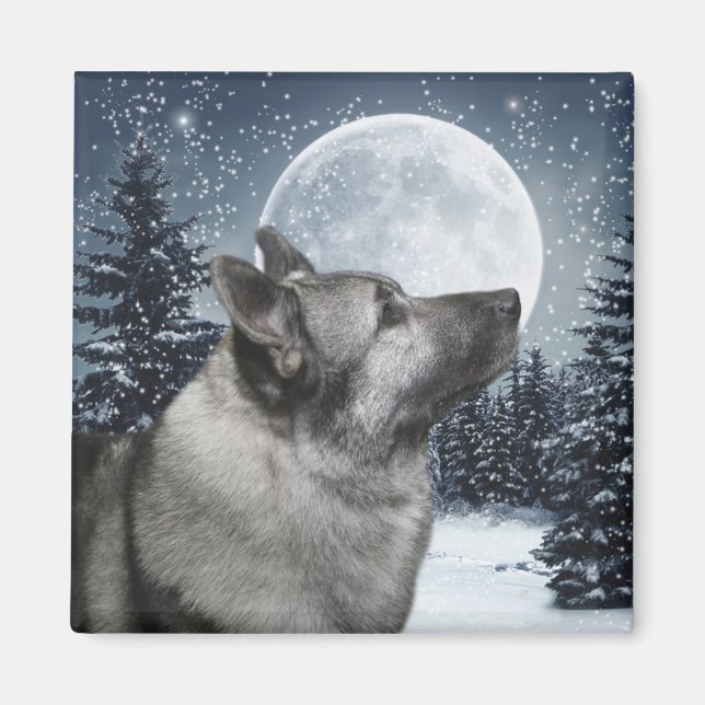 Norsk Elkhound Magnet (Framsidan)