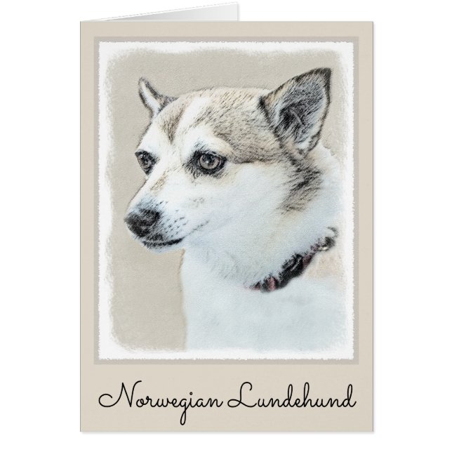Norsk färg på undehund - Original Hund Art Hälsningskort (Framsidan)