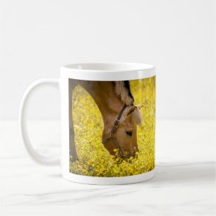 Norsk fjord-häst i Buttercups - Finn Kaffemugg